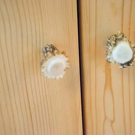 Am Berg 34 Lejlighed Maria Alm am Steinernen Meer