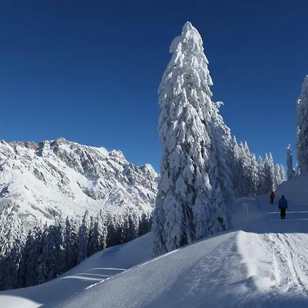 Lejlighed Am Berg 34 Maria Alm am Steinernen Meer