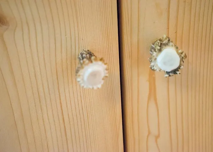 ايه ام بيرغ 34 شقة ماريا ألم ام شتاينر